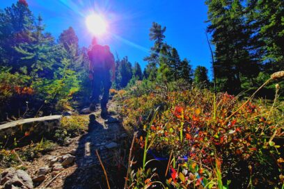 Un homme se balade sur un sentier - Agrandir l'image, fenêtre modale