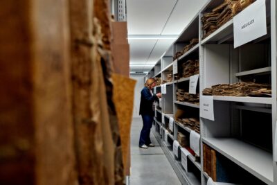 Une femme dans les allées des fonds des Archives départementales. - Agrandir l'image 1 sur 8, fenêtre modale