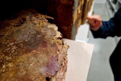 Des pages de vieux registres complètement rongées par la moisissures. - Agrandir l'image 6 sur 8, fenêtre modale