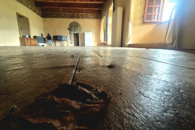 Sur le parquet du château, une feuille morte. - Agrandir l'image 7 sur 11, fenêtre modale