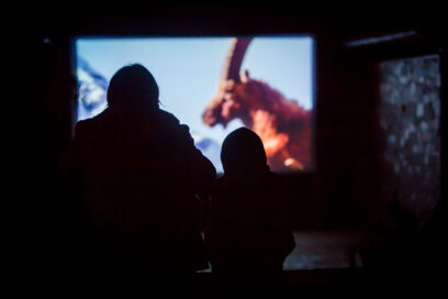 Agrandir l'image, fenêtre modale