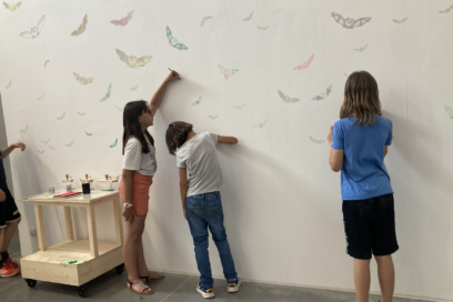 Agrandir l'image, fenêtre modale