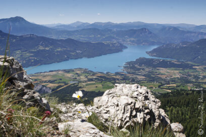 Agrandir l'image, fenêtre modale