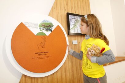 Agrandir l'image, fenêtre modale