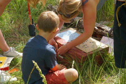 Agrandir l'image, fenêtre modale