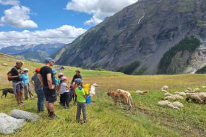 Agrandir l'image, fenêtre modale