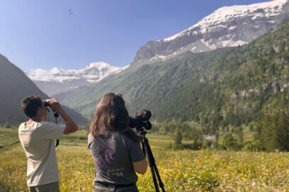 Agrandir l'image, fenêtre modale
