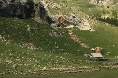 Agrandir l'image, fenêtre modale