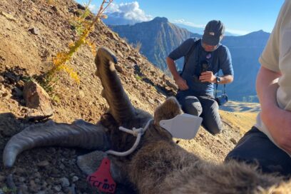 Agrandir l'image, fenêtre modale