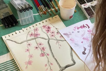 Agrandir l'image, fenêtre modale