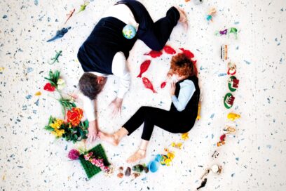 Agrandir l'image, fenêtre modale