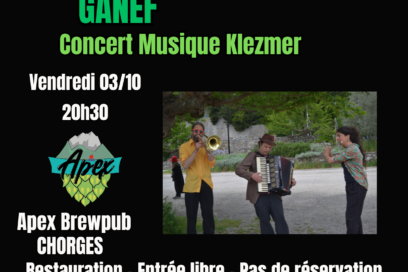 Agrandir l'image, fenêtre modale