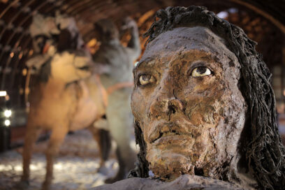 Agrandir l'image, fenêtre modale