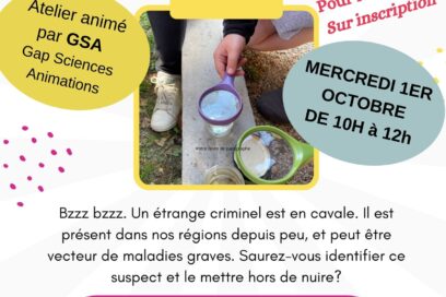 Agrandir l'image, fenêtre modale