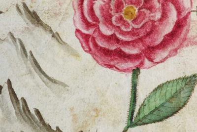 Agrandir l'image 5 sur 5, fenêtre modale