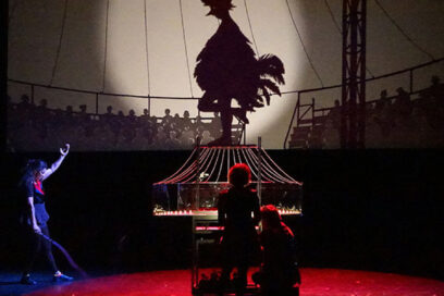 Agrandir l'image, fenêtre modale