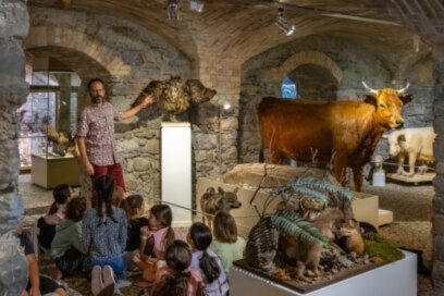 Agrandir l'image, fenêtre modale