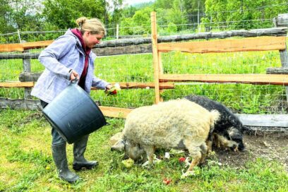 Agrandir l'image, fenêtre modale