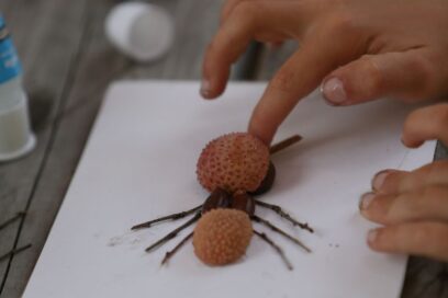 Agrandir l'image, fenêtre modale