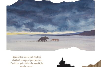 Agrandir l'image, fenêtre modale