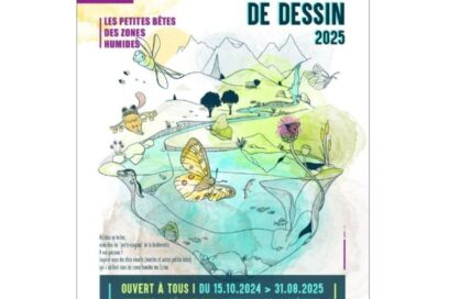 Agrandir l'image, fenêtre modale