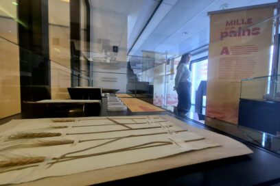 Agrandir l'image, fenêtre modale