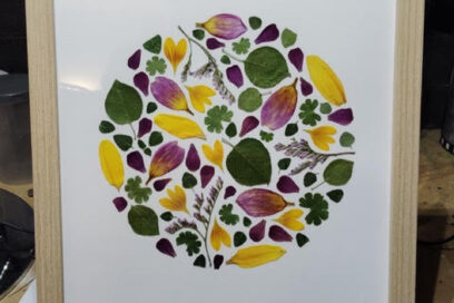 Agrandir l'image, fenêtre modale