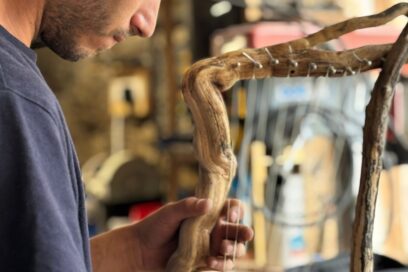 Agrandir l'image, fenêtre modale