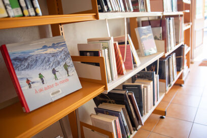 Agrandir l'image, fenêtre modale