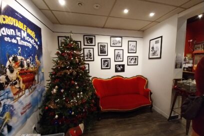 Agrandir l'image, fenêtre modale