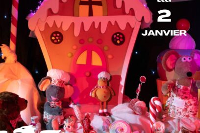 Agrandir l'image, fenêtre modale