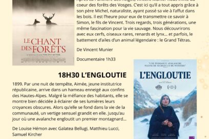 Agrandir l'image, fenêtre modale