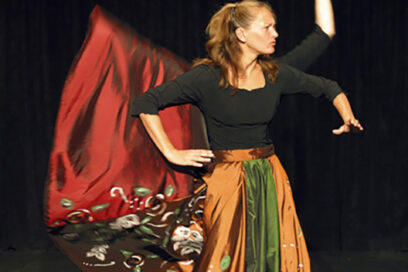 Agrandir l'image, fenêtre modale