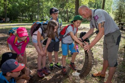 Agrandir l'image, fenêtre modale