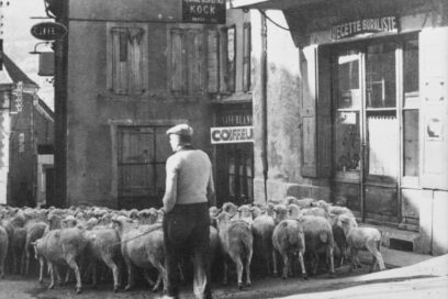 Agrandir l'image, fenêtre modale