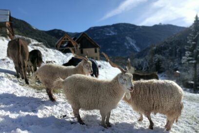 Agrandir l'image, fenêtre modale