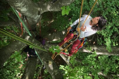 Agrandir l'image, fenêtre modale