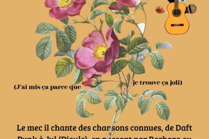 Agrandir l'image, fenêtre modale