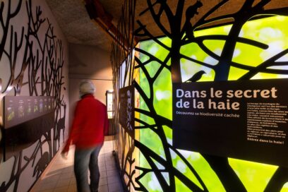 Agrandir l'image, fenêtre modale