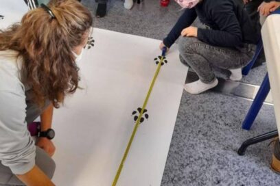 Agrandir l'image, fenêtre modale