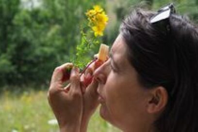 Agrandir l'image, fenêtre modale