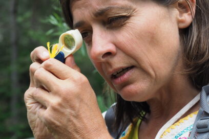 Agrandir l'image, fenêtre modale