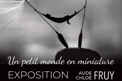 Agrandir l'image, fenêtre modale