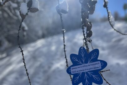 Agrandir l'image, fenêtre modale