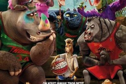 Agrandir l'image, fenêtre modale