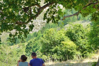 Agrandir l'image, fenêtre modale