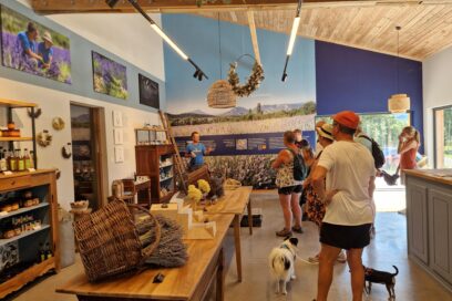 Agrandir l'image, fenêtre modale