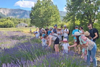 Agrandir l'image, fenêtre modale