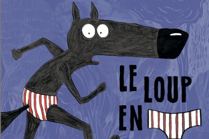 Agrandir l'image, fenêtre modale