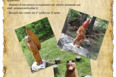 Agrandir l'image, fenêtre modale